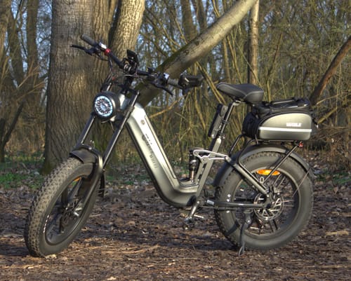Customer photo review of CMACEWHEEL V20 750W 20" Fat Bike 960Wh Full Suspension E-bike with Torque Sensor 48V 20Ah Battery [Pre-Order]