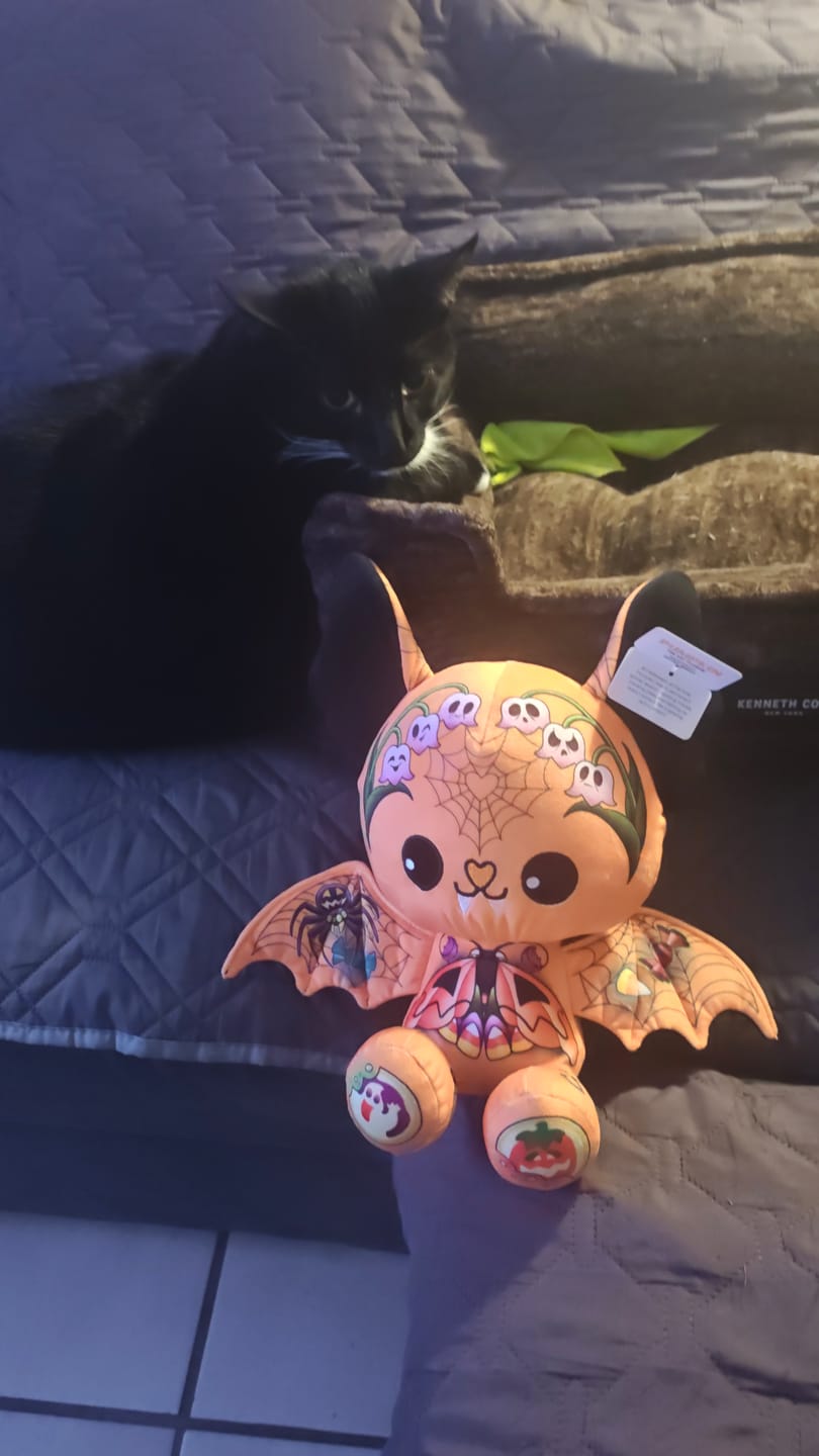 Customer photo review of Pumpkin the Bat Plushie