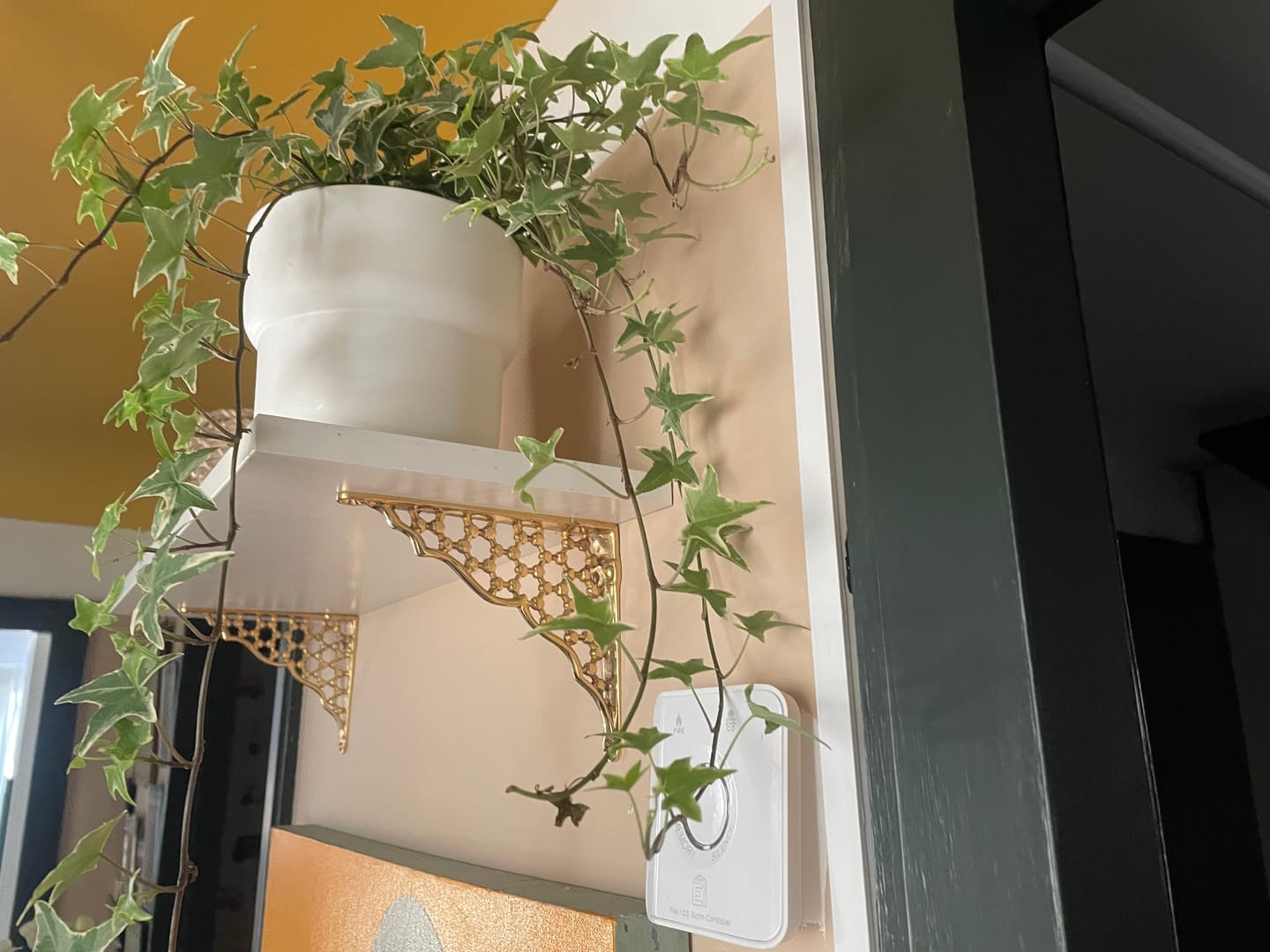 Customer photo review of 6 x 5 Inch Honeycomb Brass Shelf Bracket