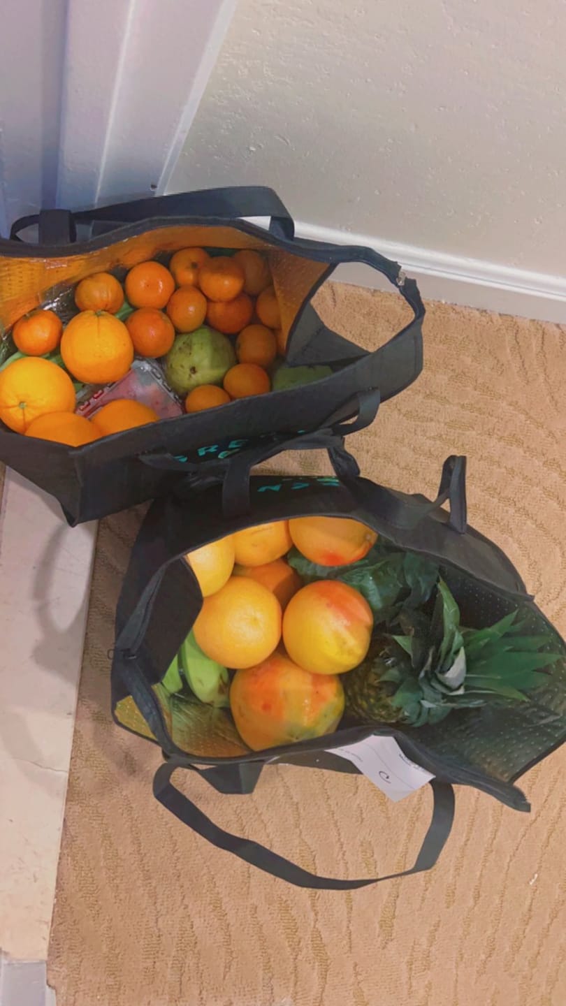 Customer photo review of "Heirloom" (Large), Mixed Fruit and Veggie