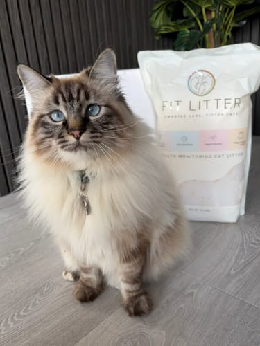 Customer photo review of Fit Litter