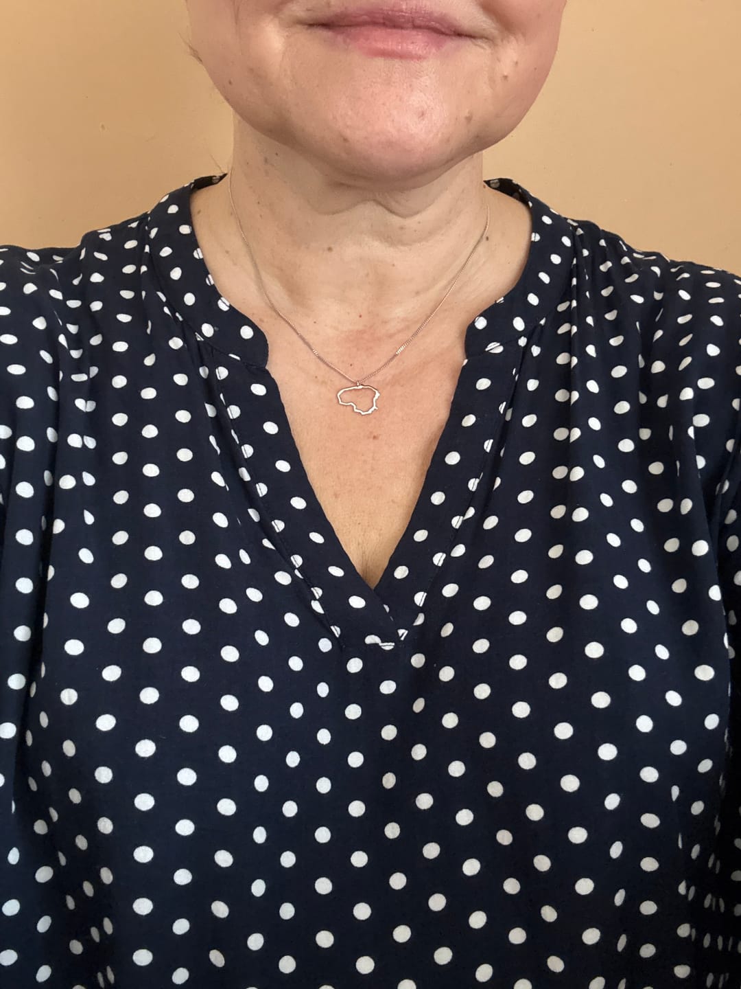 Customer photo review of Sidabrinis pakabukas "Lietuva"