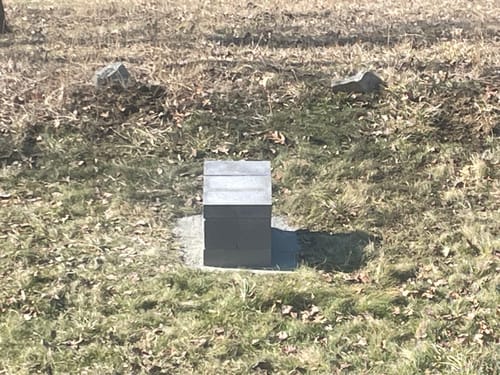 Customer photo review of BeeCastle Beehive 10 Frame 2 Layer Complete Langstroth Beeswax Dipped Hive Kit!Unassembled Hive Includes 1 Cedar Wood Deep Bee Box and 1 Cedar Wood Medium Box.Craft Your Own Buzzing Haven! 🐝