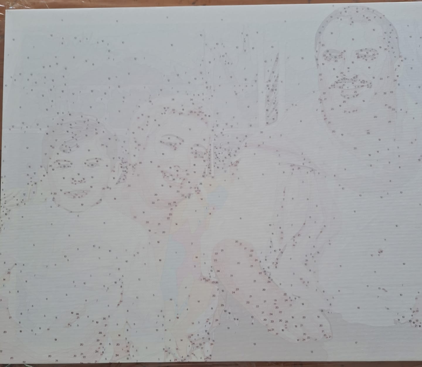 Customer photo review of Custom Paint by Number Kit
