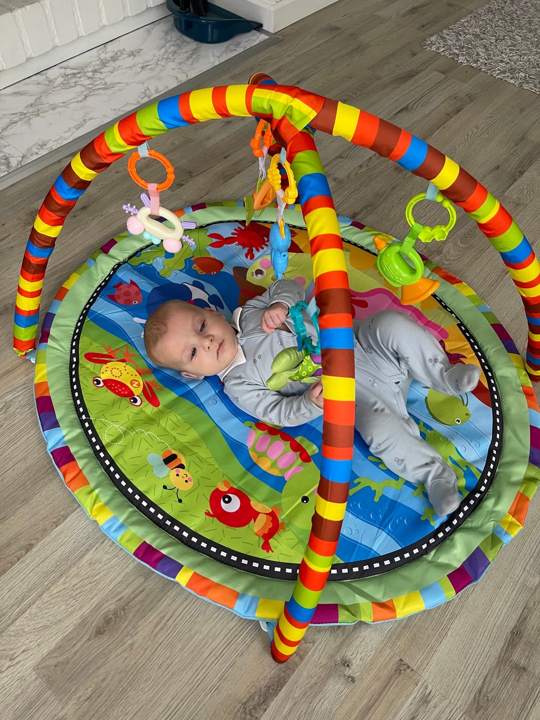 Customer photo review of Babygym Adventure