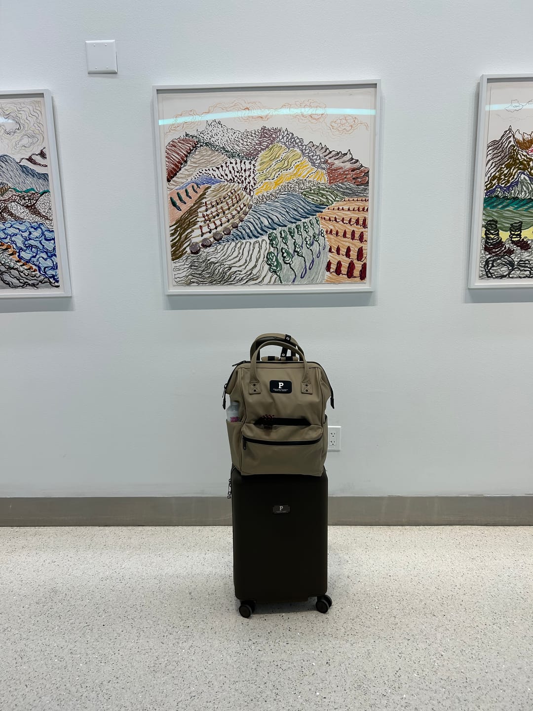 Customer photo review of Cascade Carry-On