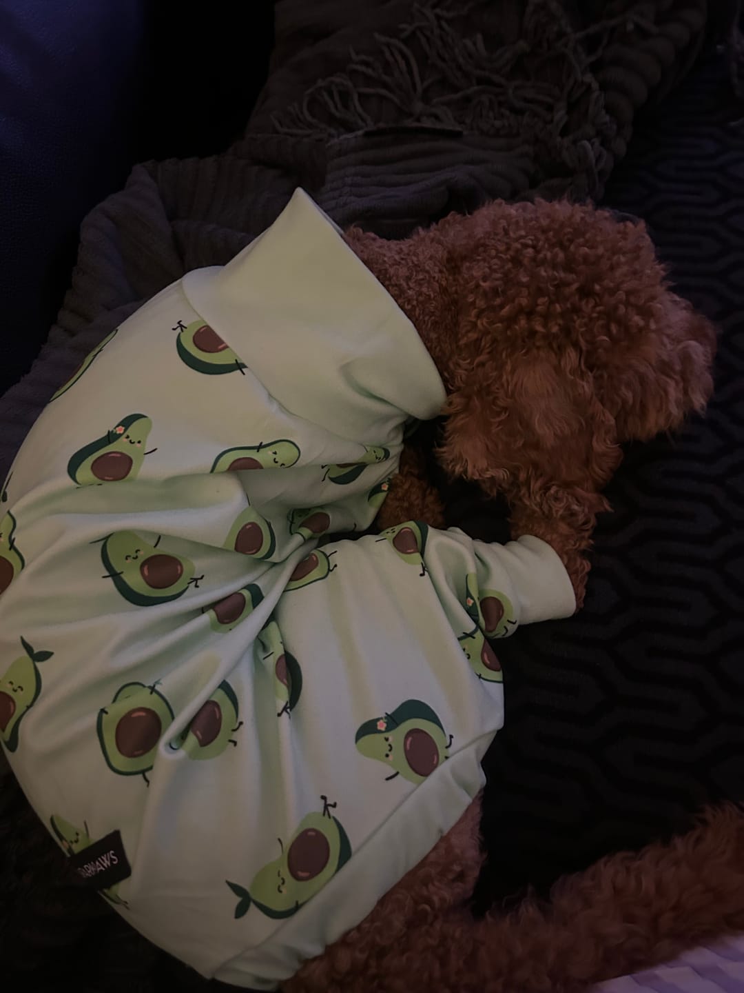 Customer photo review of Dog Pajama - Avocado