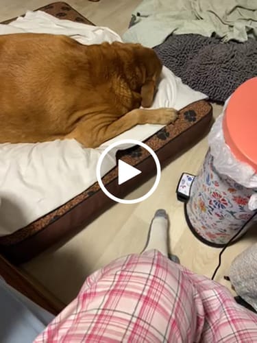 Customer video review of 🦷  Fit Full Functional DenturesMake you more confident-Made in the USA & FDA-Certified