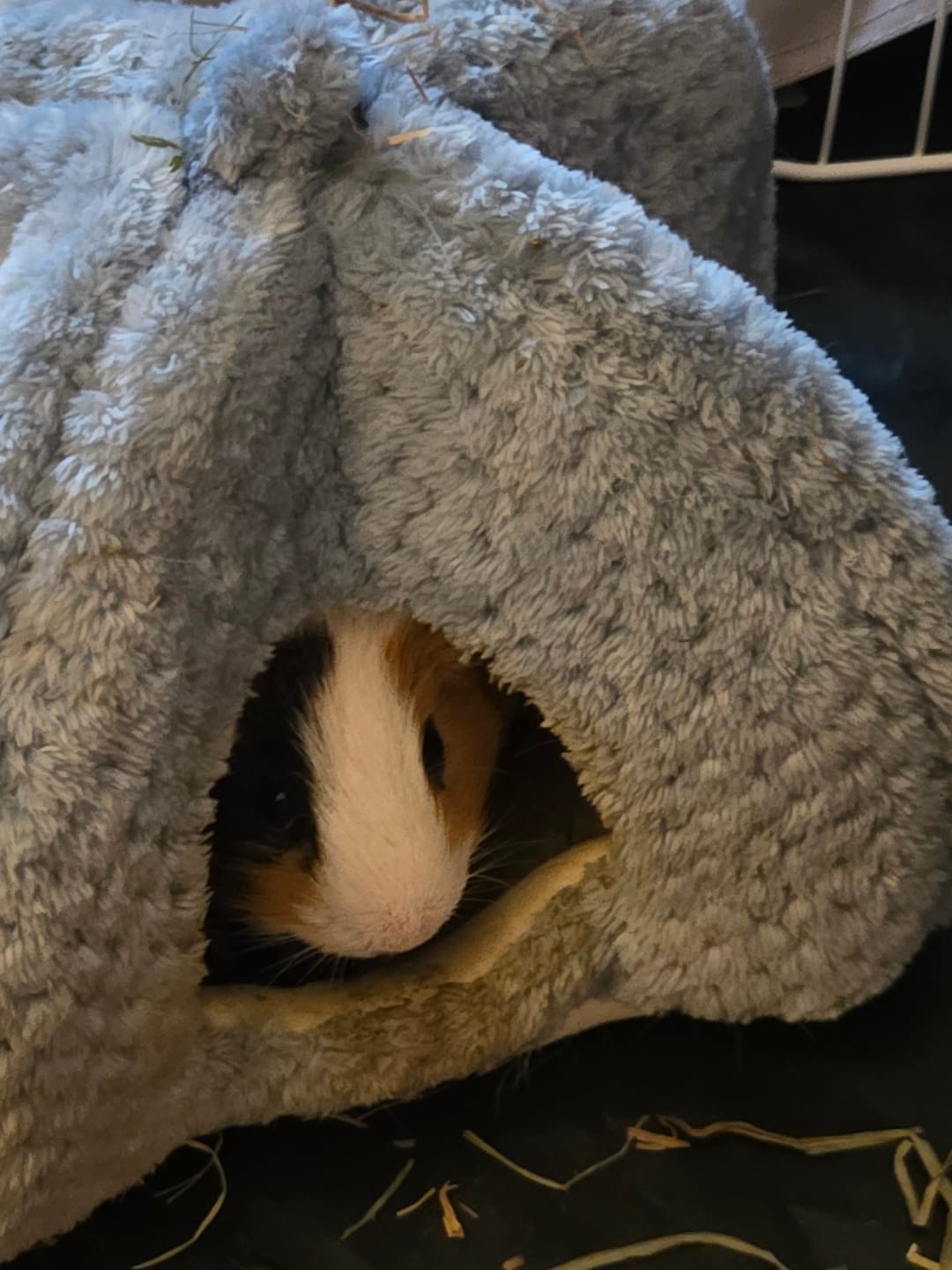 Customer photo review of Homely Fleece Hidey | Dusky Blue
