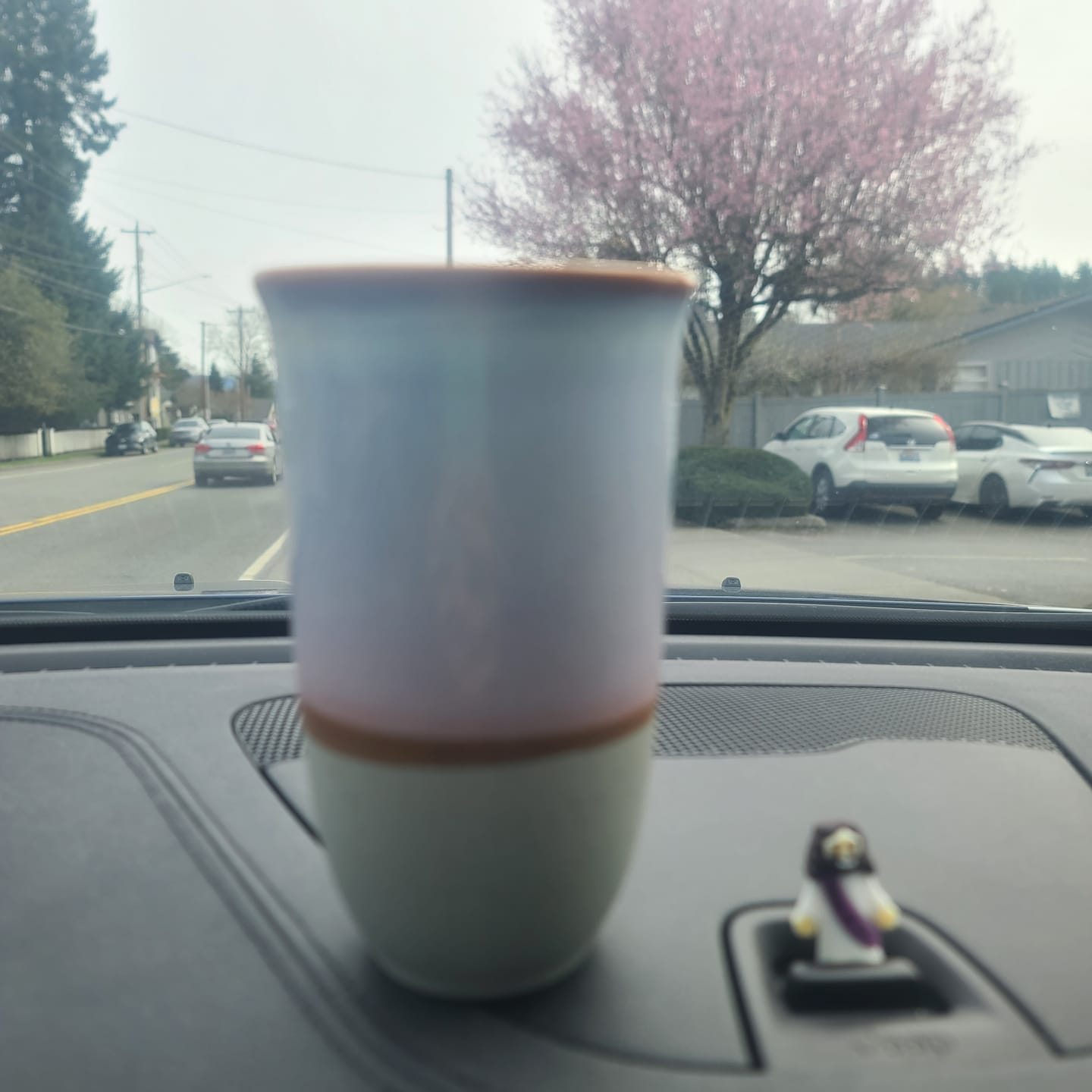 Customer photo review of Horizon Cup 16oz