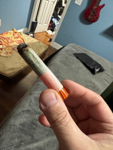 Customer photo review of Proper Tip - Sunset