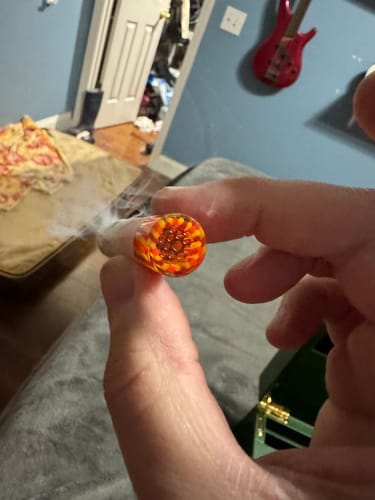 Customer photo review of Proper Tip - Sunset