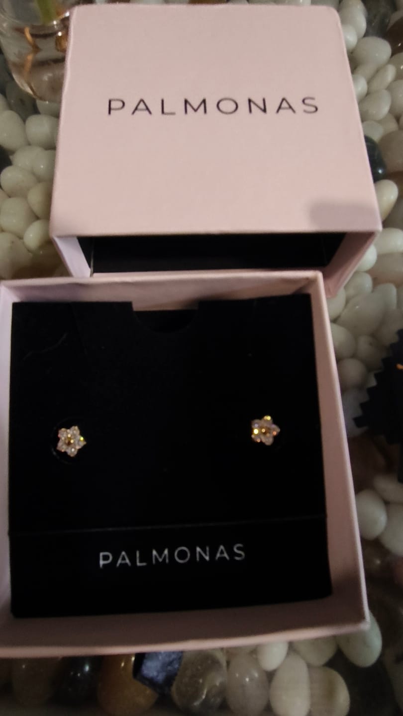 Customer photo review of Crystal Nova Studs