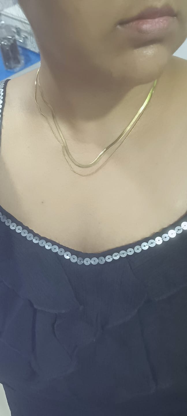 Customer photo review of Plain Chain Two Layer Necklace