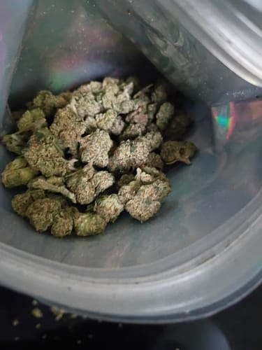 Customer photo review of Shipping Protection by Route