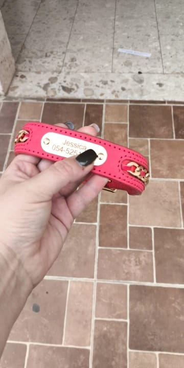 Customer photo review of Custom Leather Dog Collar with Personalized ID Tag Nameplate