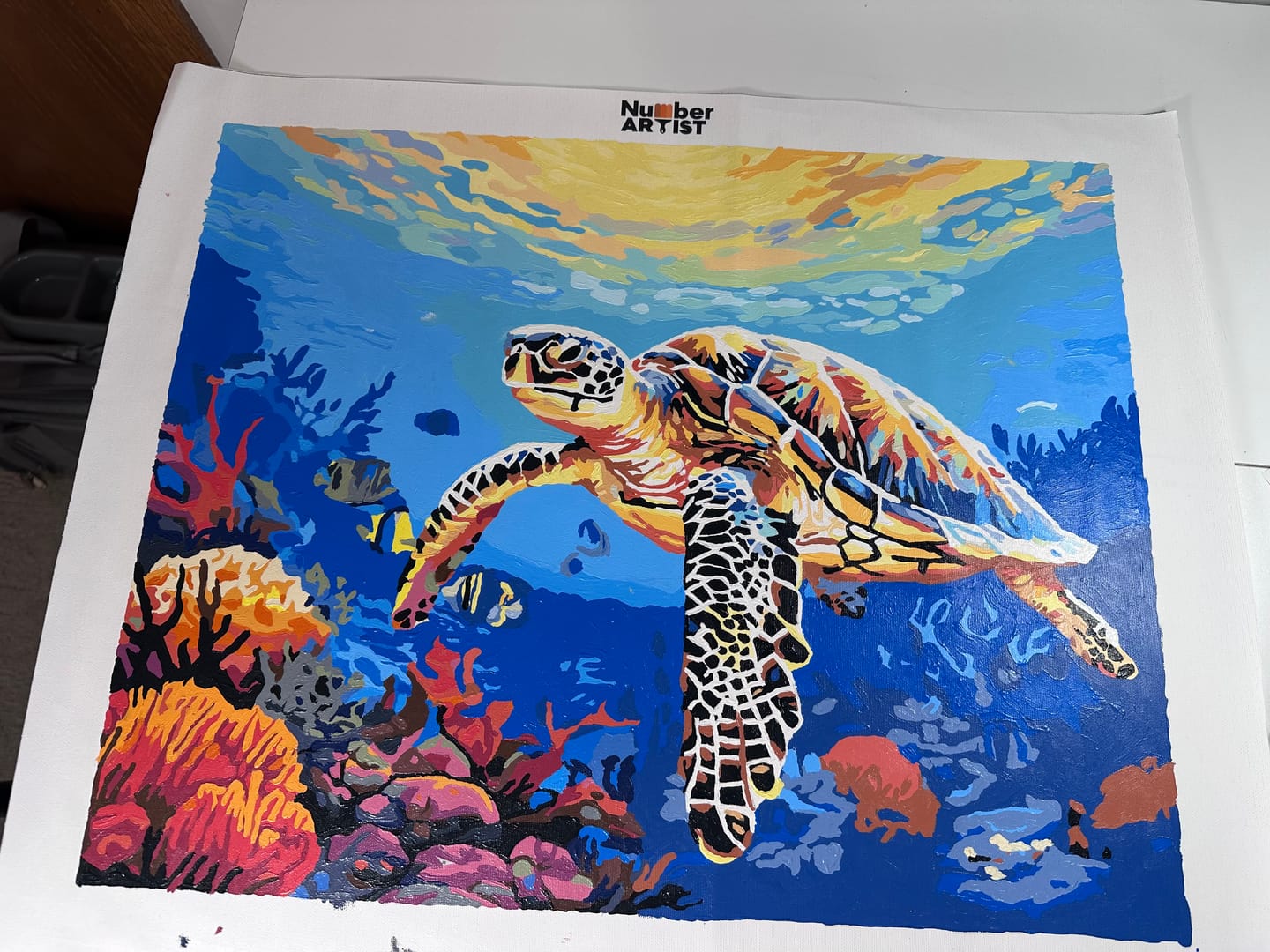 Customer photo review of Coral Glide