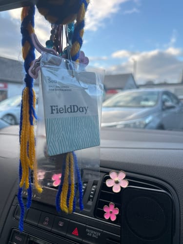 Customer photo review of Wild Atlantic Way Cork Metal Model | Cowfield Design