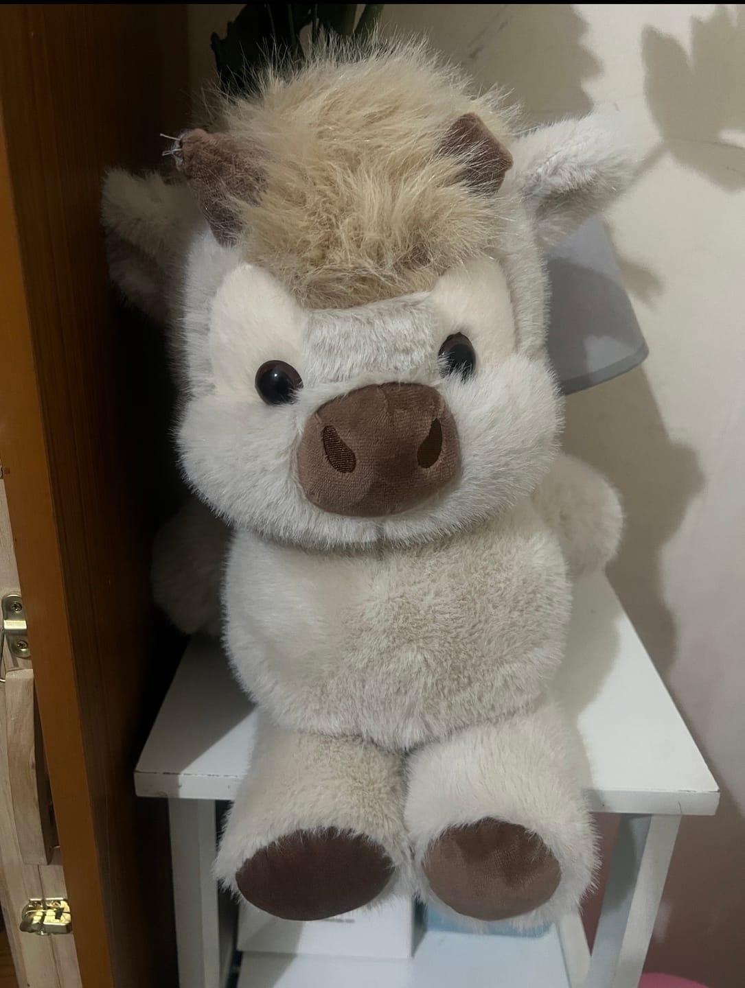 Customer photo review of Snuggy™ Running Plushie