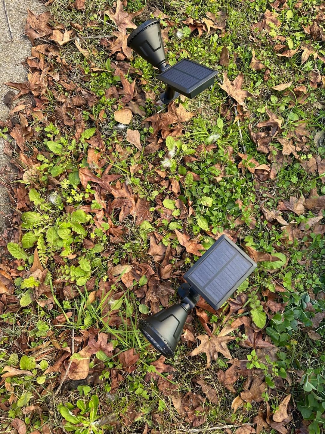 Customer photo review of Solar Garden Spotlight 9 LED – RGB & White, IP65 & Adjustable (2-in-1)