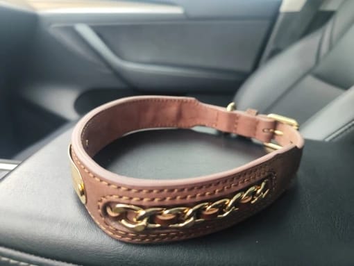 Customer photo review of Custom Leather Dog Collar with Personalized ID Tag Nameplate