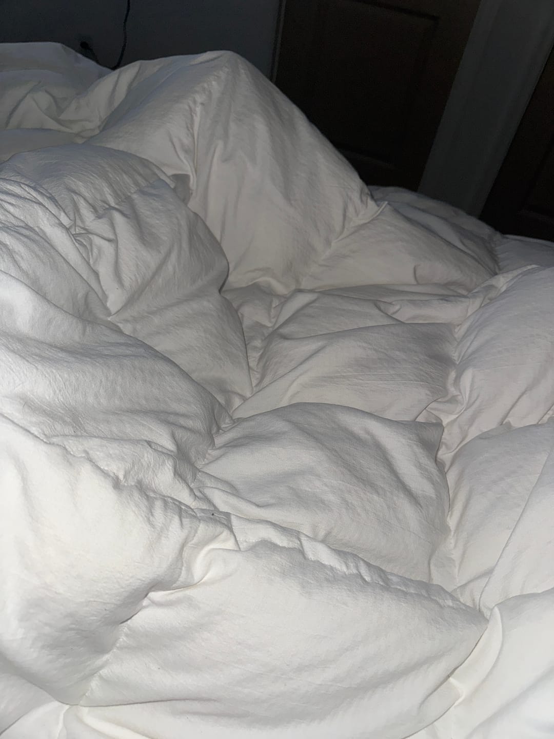 Customer photo review of European Linen Goose Down Filled Comforter