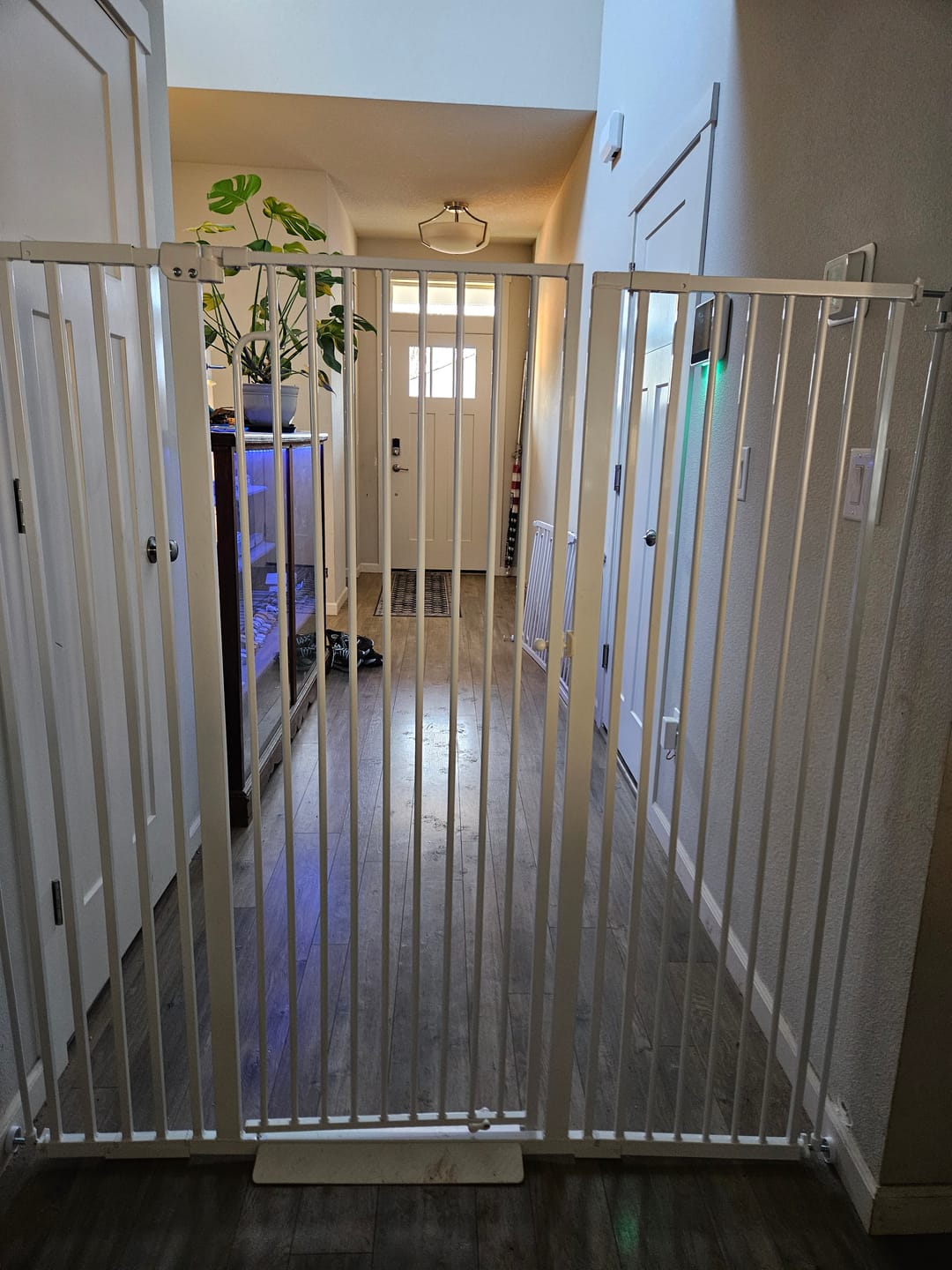 Customer photo review of FairyBaby 57" Extra Tall Pet Gate for  Big Dogs and Curious Climbers