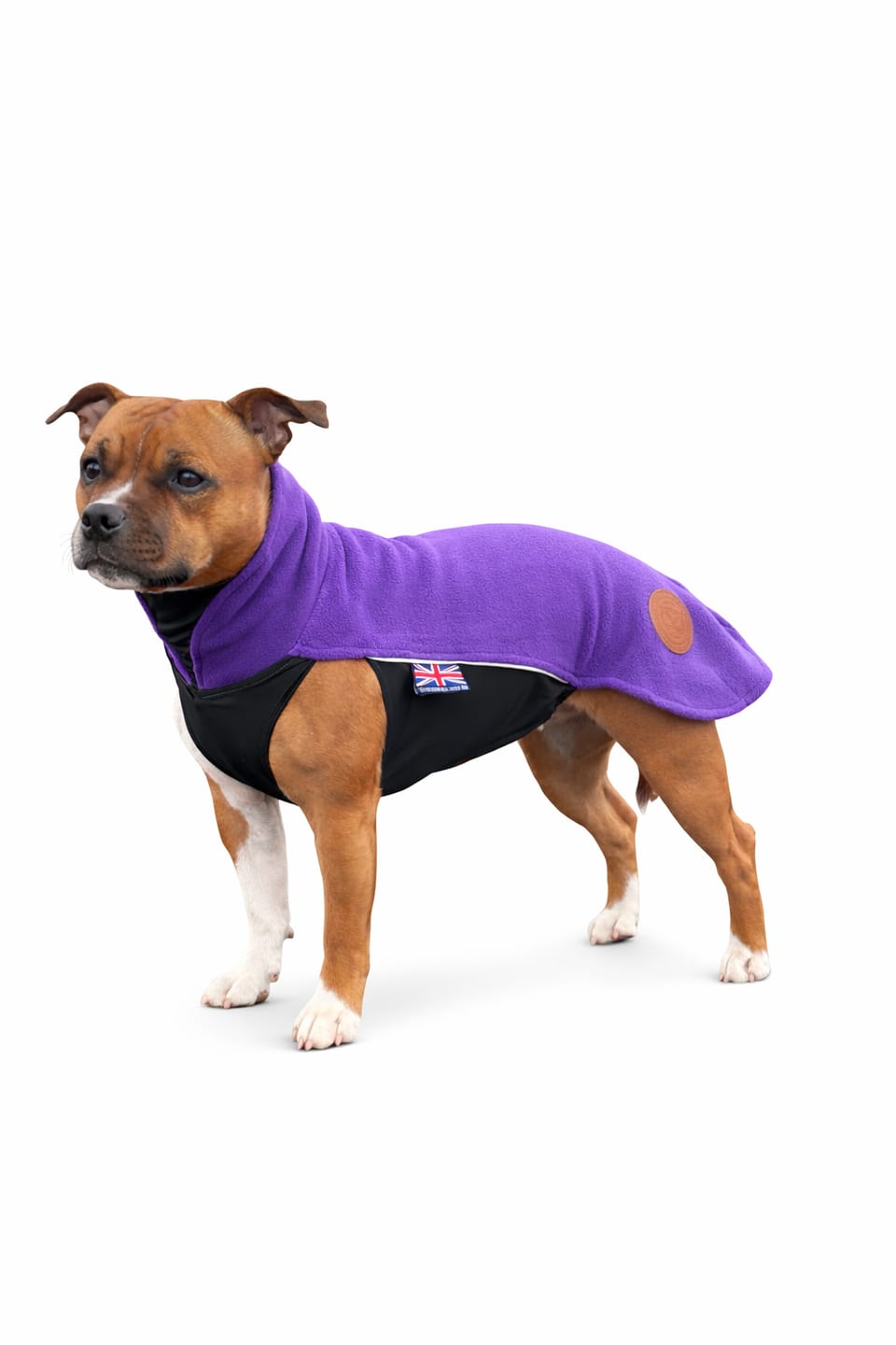 Customer photo review of Staffordshire Bull Terrier 1935® Fleece Coat - Dark Purple