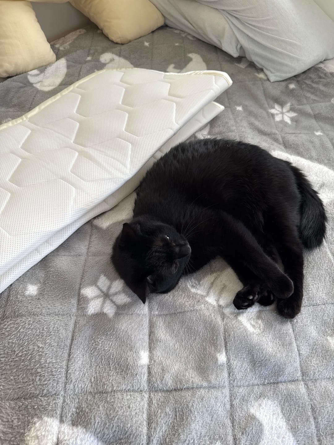 Customer photo review of SLEEP HEXAGON　上位版ホルミシスベッドパッド