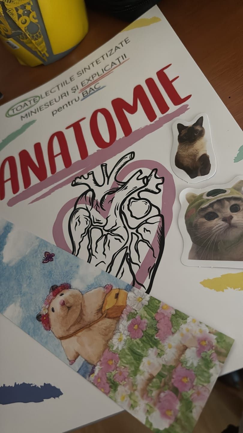 Customer photo review of Carte Anatomie Bacalaureat (Biologie clasele XI-XII) Bacademia