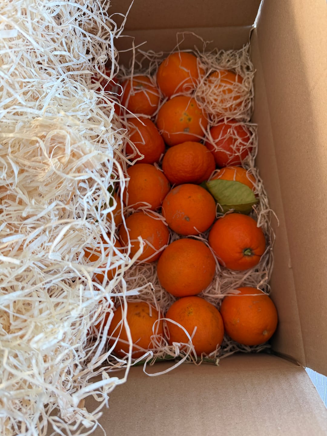 Customer photo review of Saft-Orangen Bio aus Sizilien