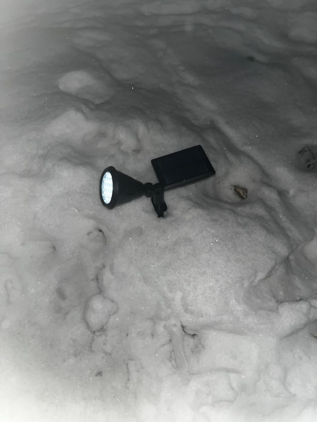 Customer photo review of Solar Gartenstrahler LED Weiß, IP65 & Verstellbar