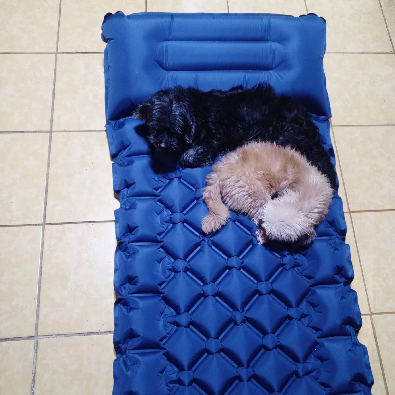 Customer photo review of Ultralichte Slaapmat – Compact & Ideaal voor Elk Avontuur
