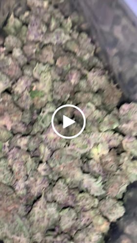 Customer video review of Bulk Indoor THCA Smalls