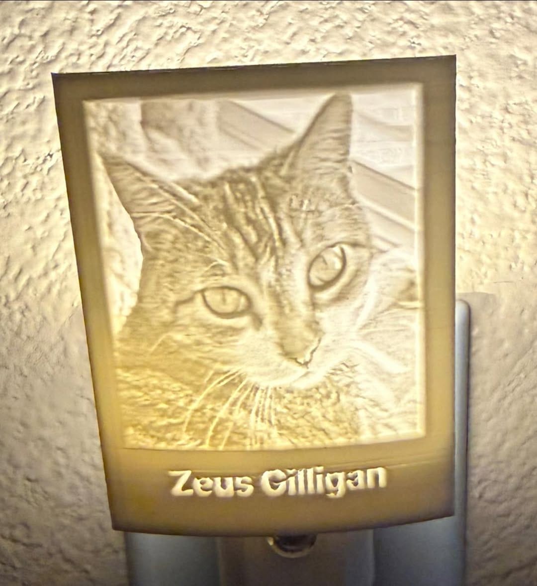 Customer photo review of Memory Frame™ Personalized Night Light