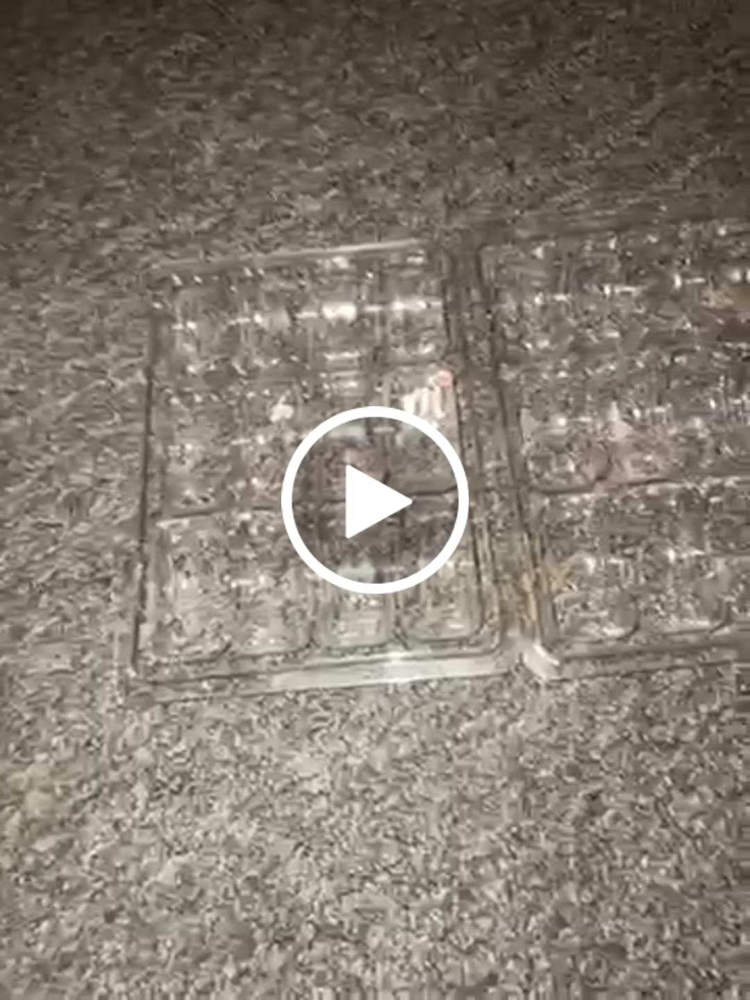 Customer video review of 12 Pack