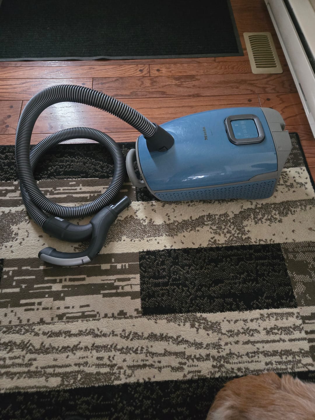 Customer photo review of Miele Guard L1 Vacuum Cleaner - Nordic Blue
