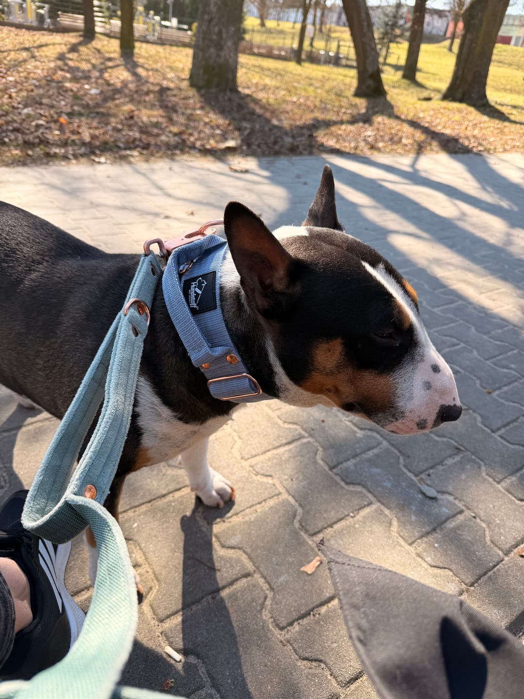 Customer photo review of Smycz przepinana z dodatkową raczką - Multi Guard Leash Rose Edition Pastel Green