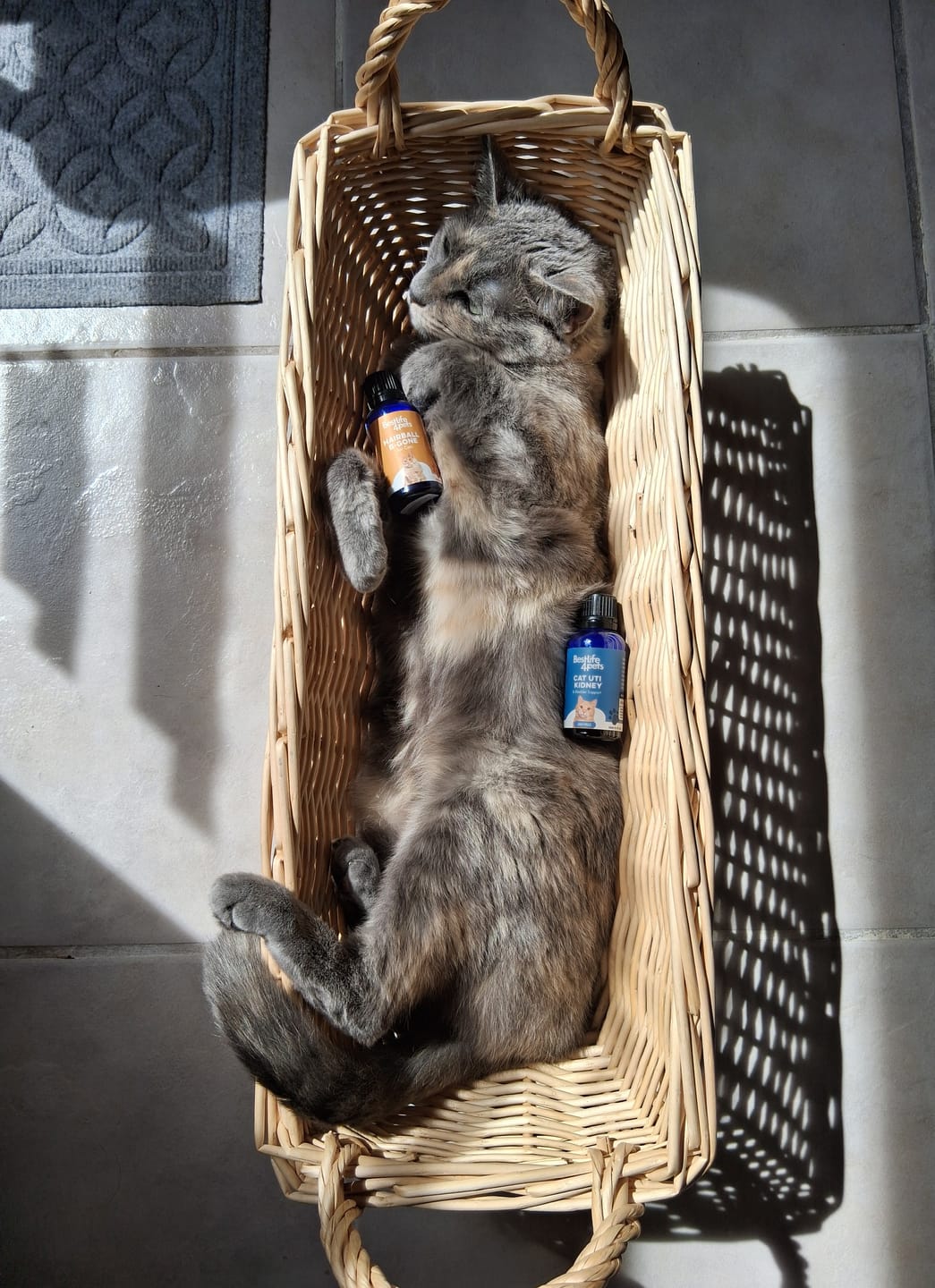 Customer photo review of Hairball B-Gone for Cats