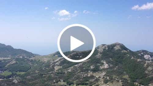 Customer video review of Blue Zushi 30% THCA