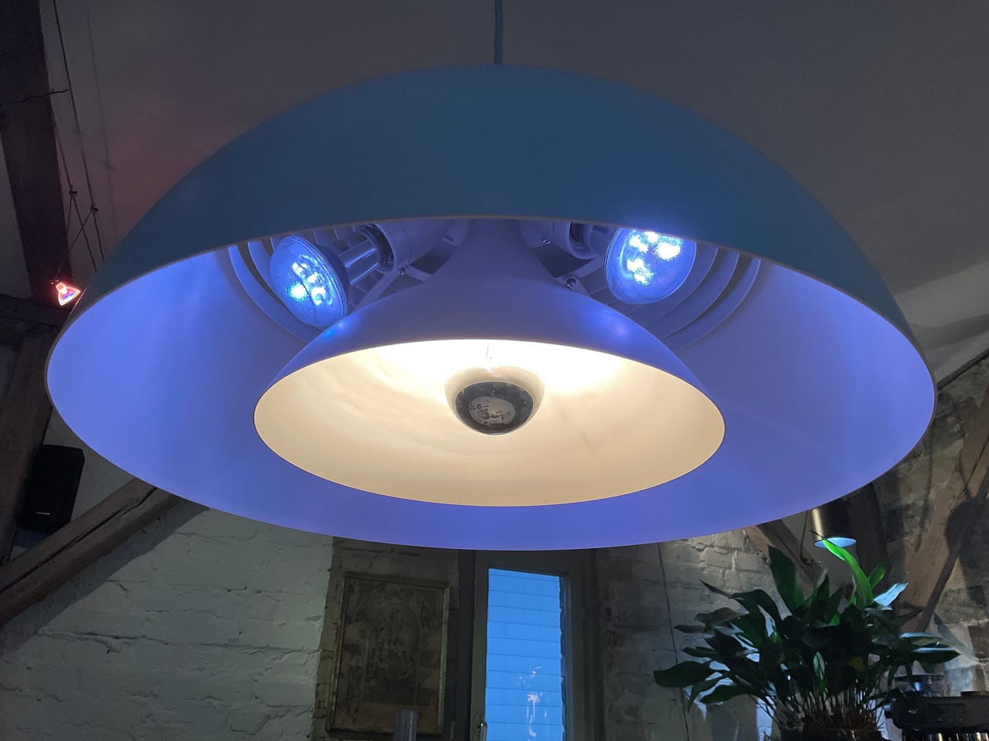 Customer photo review of LEDVANCE Wifi SMART+ SPOT CONCENTRA Tunable White R63 (ex 60W) 6W / 2700-6500K E27