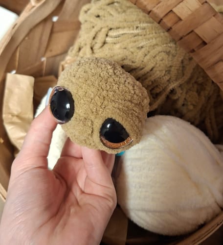 Customer photo review of Alize Softy Plus