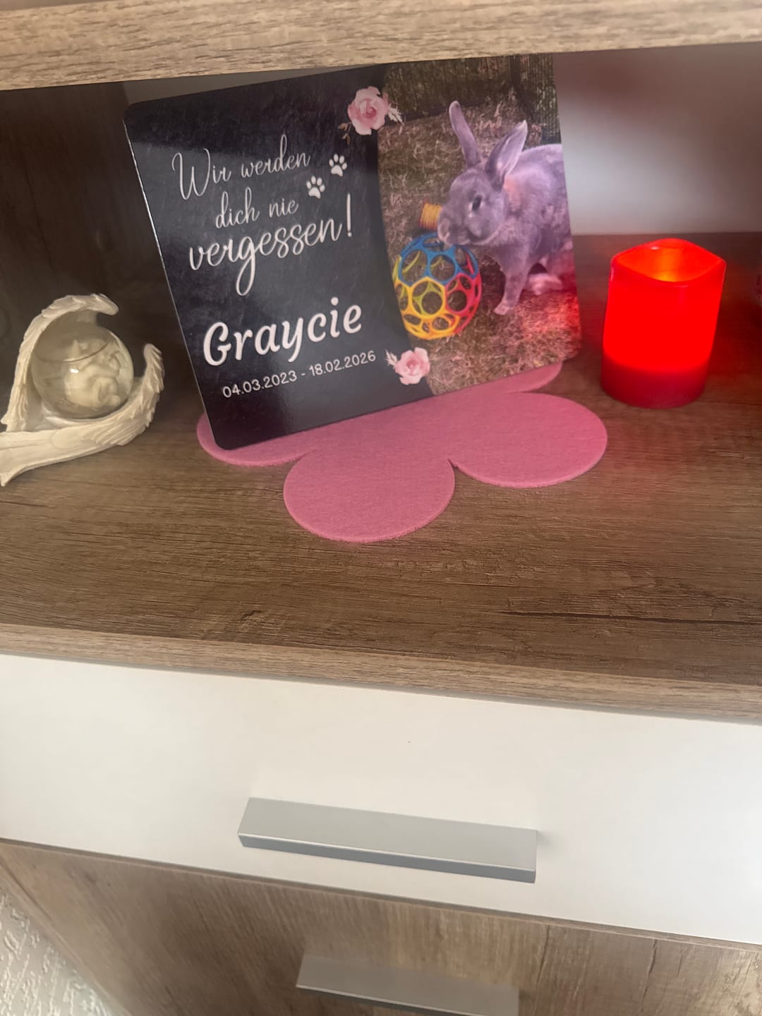 Customer photo review of Kaninchen Gedenktafel mit Foto & Spruch (UV- & Wetterfest)
