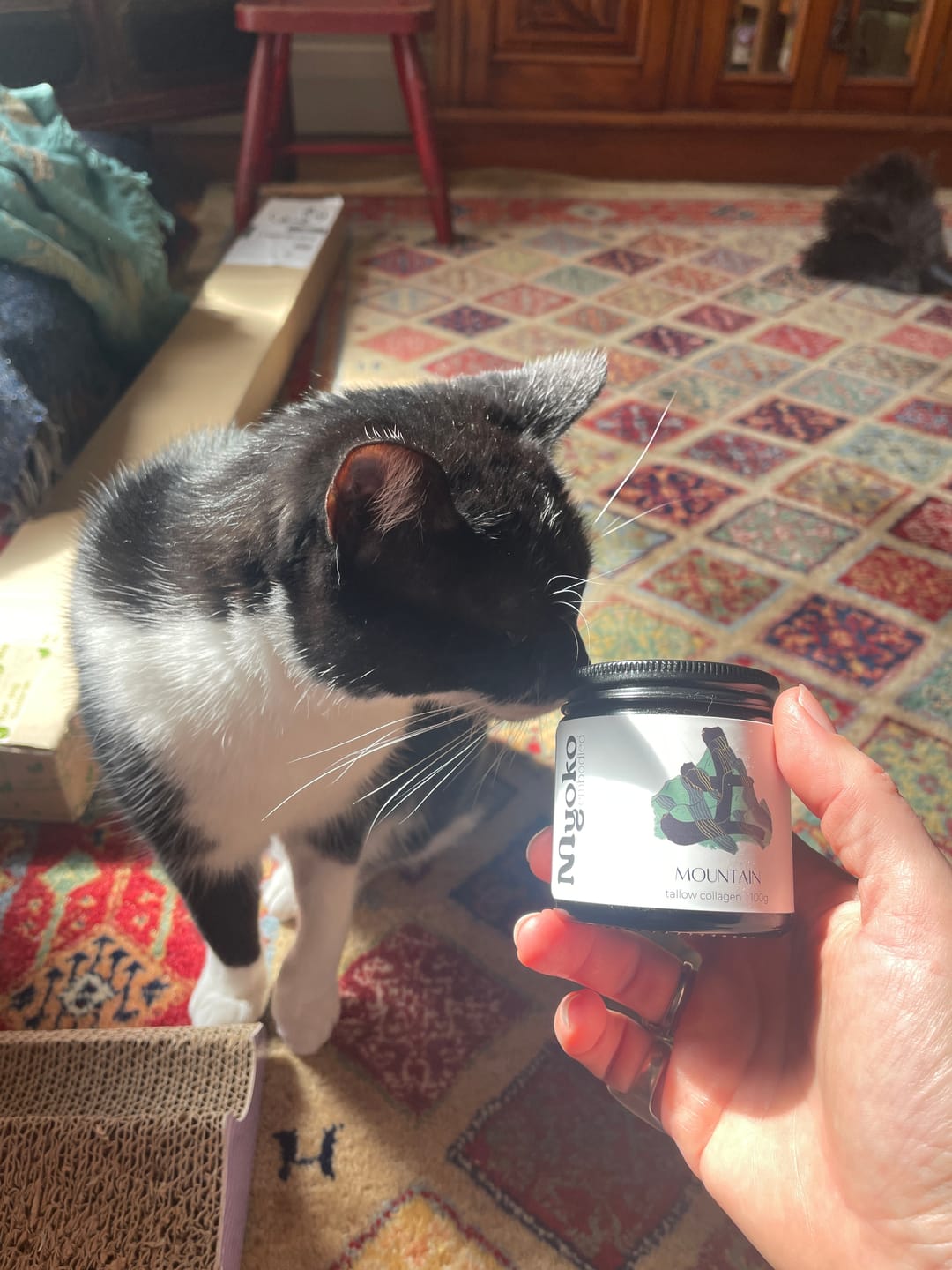 Customer photo review of MOUNTAIN | Tallow Collagen