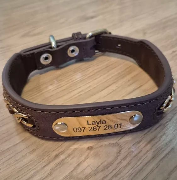 Customer photo review of Custom Leather Dog Collar with Personalized ID Tag Nameplate