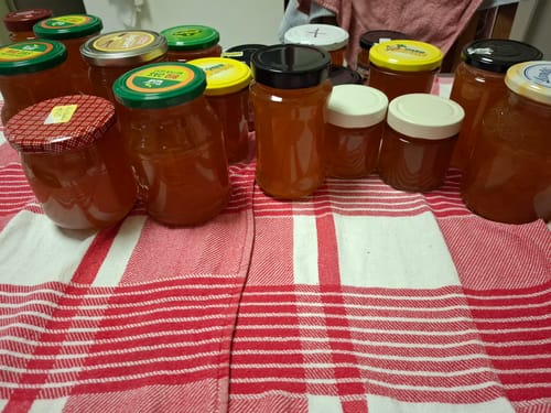 Rezensent zeigt viele Gläser hausgemachter Marmelade aus den Bio-Bitterorangen auf einem rot-weißen Tuch.
