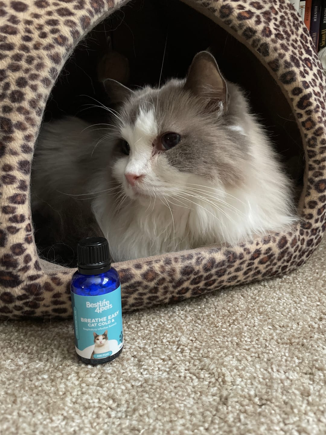 Customer photo review of Breathe Easy Cat Cold, Sneezing & Respiratory Support