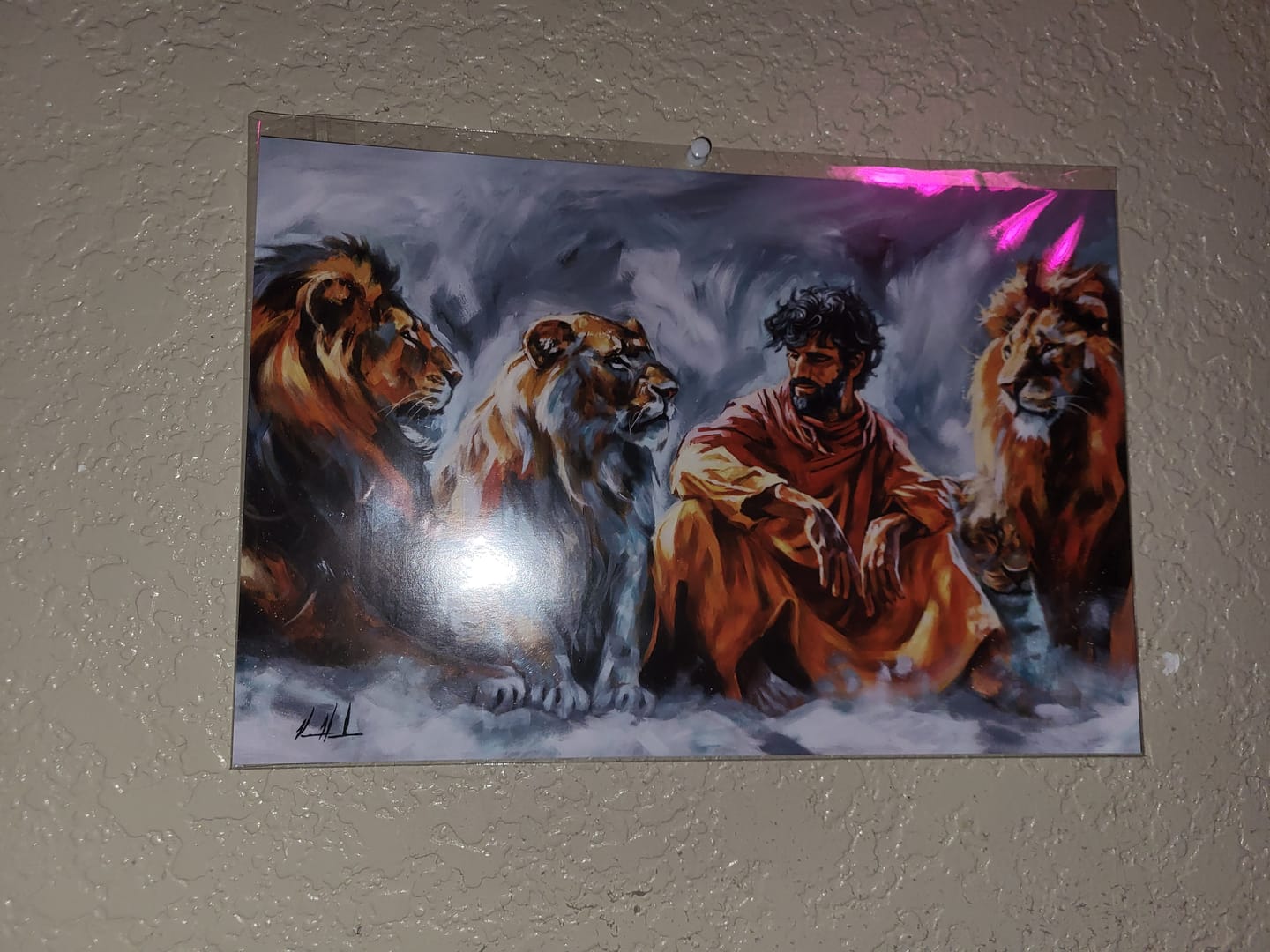 Customer photo review of In the Lion’s Den