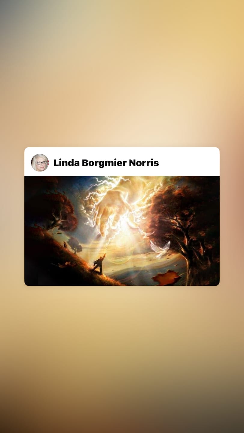 Customer photo review of Light of the World: Book 3 of Light of the Ark (Kindle and ePub)