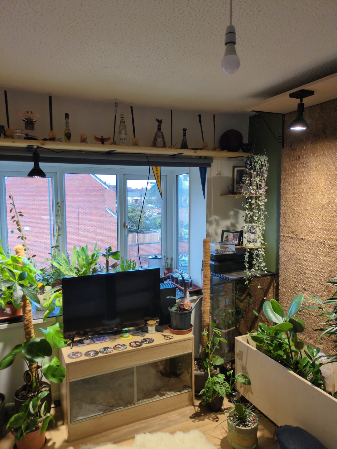 Customer photo review of Pianta 30 Grow Light LED Bulb